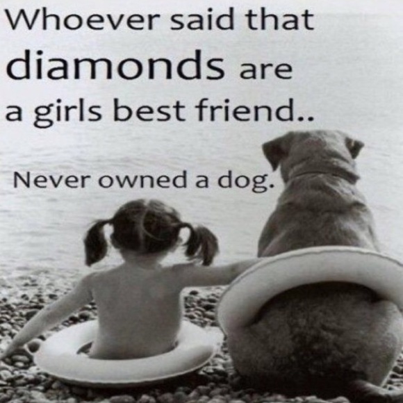 letter to dog lovers