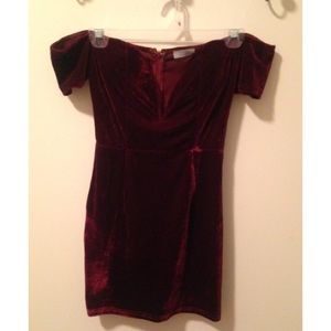 Tobi Burgundy Velvet dress