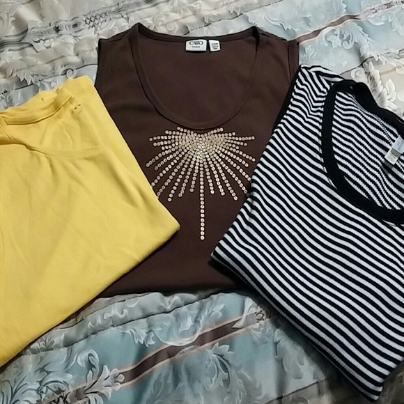 💕SOLD💕3 Plus Size Tank Tops Sold in Bundle.