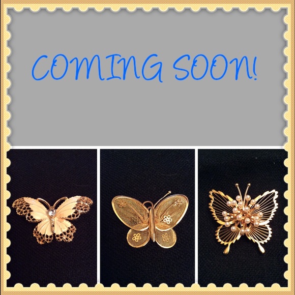 Vintage Butterfly pins/pendant