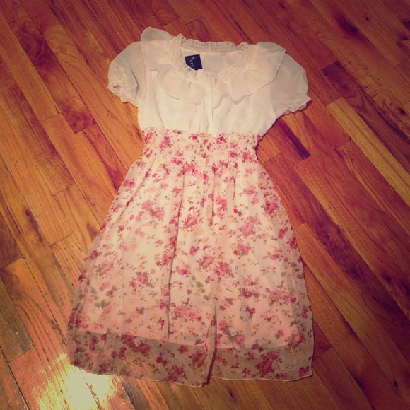 Pink Floral Chiffon Dress NWT