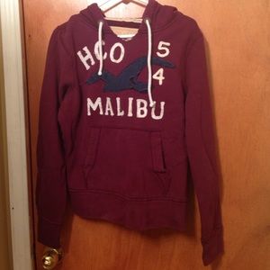 Hollister men's hoodie