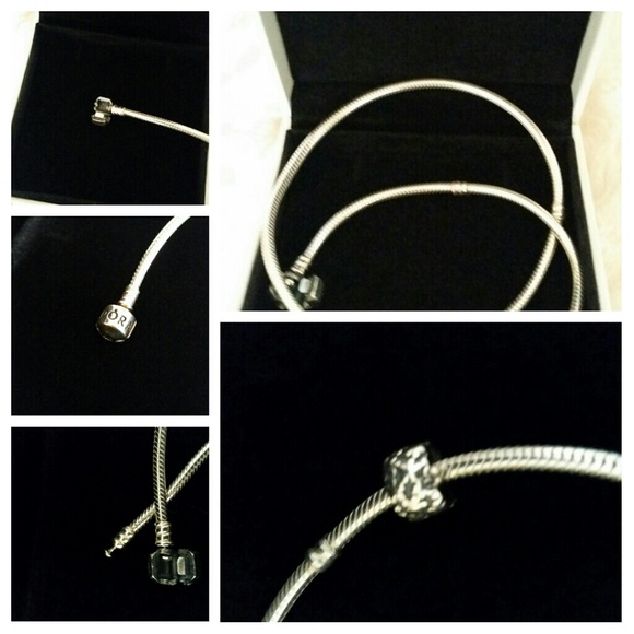Authentic Pandora necklace and daisy clip