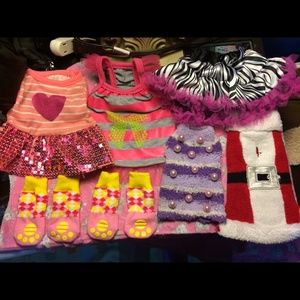 Dog clothes