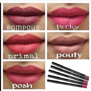 Younique's lip stains