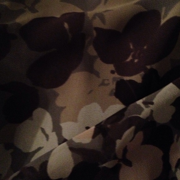 Express Dress - Picture 3 of 3