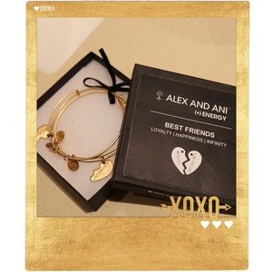 Alex and Ani Friendship Bracelet