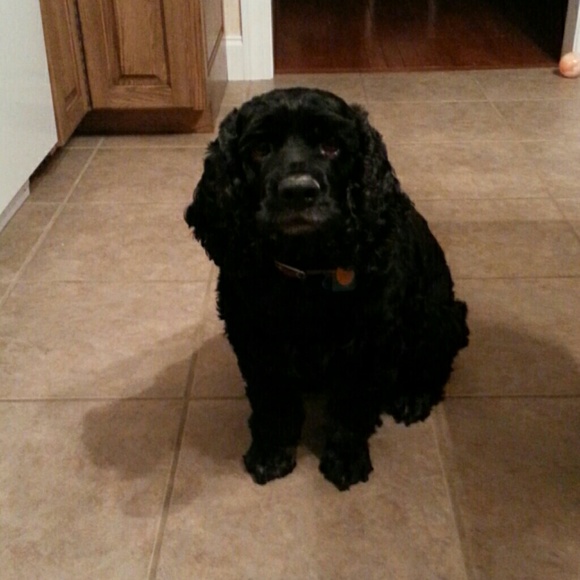 THANKS FOR LOOKING AT MY MOMMIES CLOSET.  PEPPER