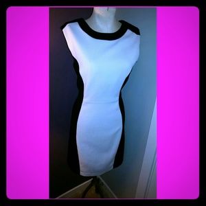 Professional Sheath Dress