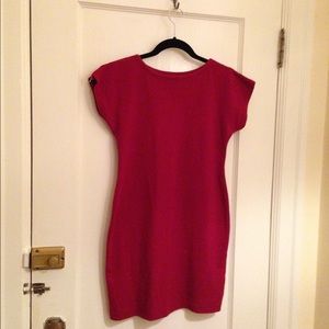 American Apparel Fitted Dress