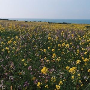 ⭐️BUNDLE FOR @alex_winstead ⭐️