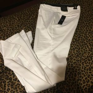 White dress pants