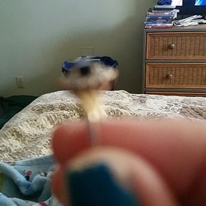 Black Onyx 10k gold ring