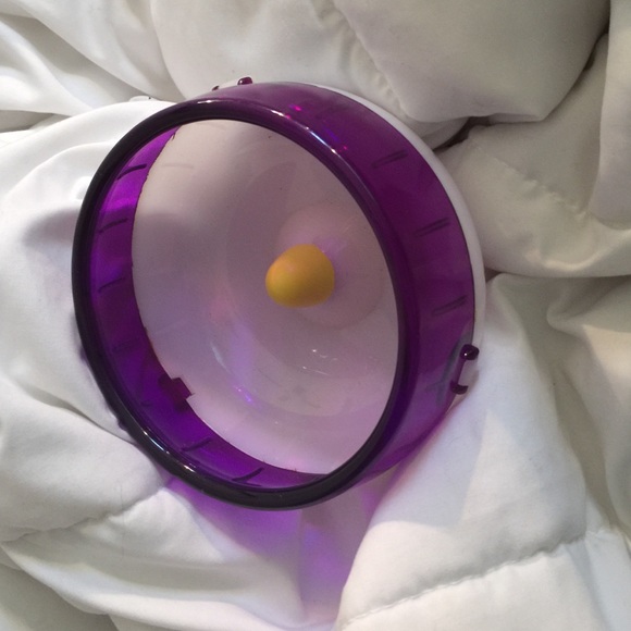 hamster silent spinner