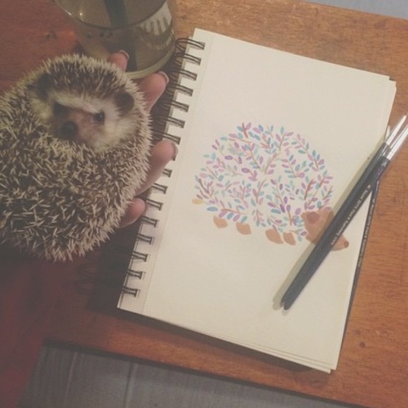 custom hedgehog painting on paper