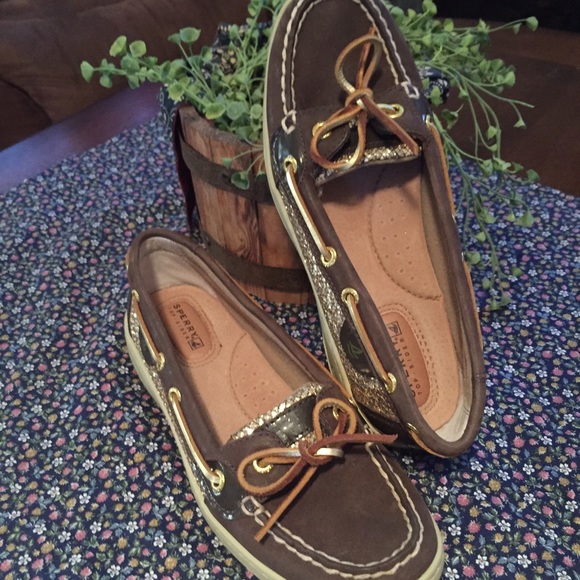 Sperry's  6.5