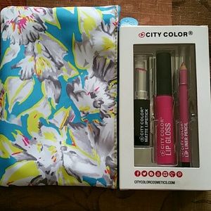 Lip stuff and ipsy bag
