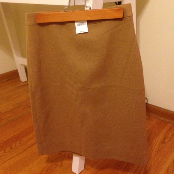 Brand new J Crew skirt