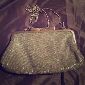 Silver Clutch Purse