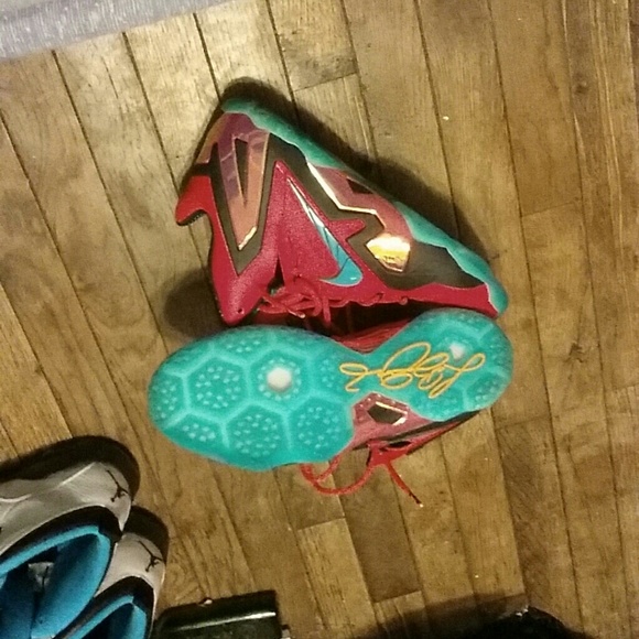 LeBron 11 elite hero