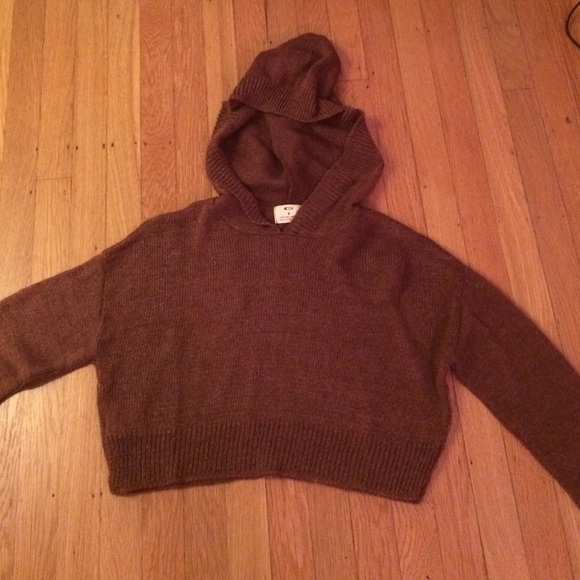 Brown/Brick Red Cropped Sweater, Pins & Needles