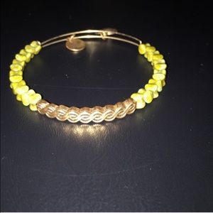 Another Alex and Ani bangle