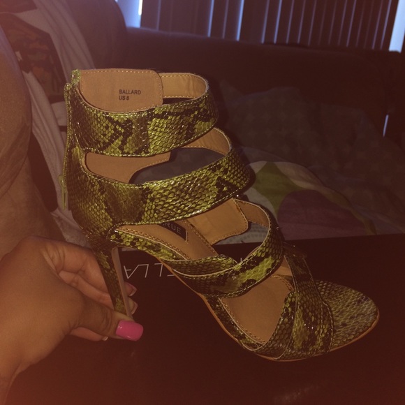 snakeskin *make an offer* - Picture 2 of 4