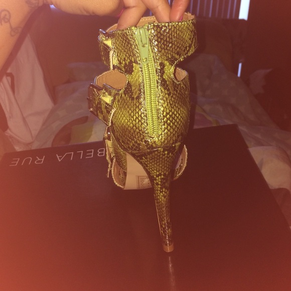 snakeskin *make an offer* - Picture 4 of 4