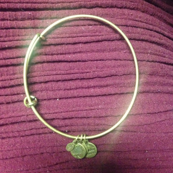 Alex and Ani filler bracelet
