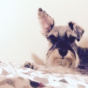 My baby oliver!