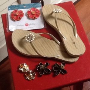 Lindsay Phillips Sandels