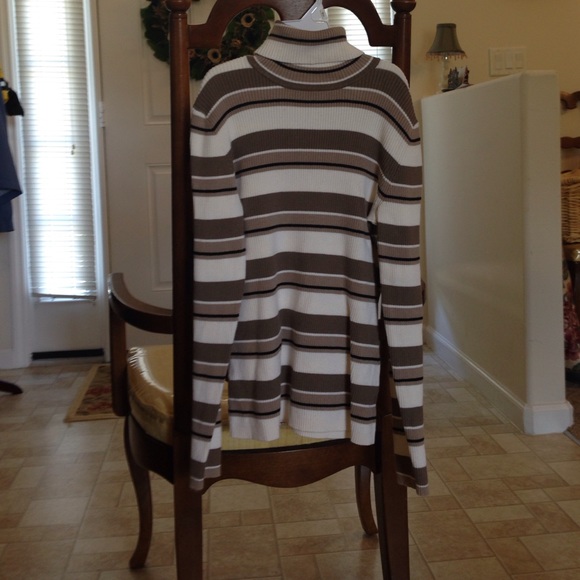 Petite Sophisticate longsleeve turtleneck sweater