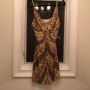 Arden B dress