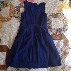 LOFT Classic Blue Dress