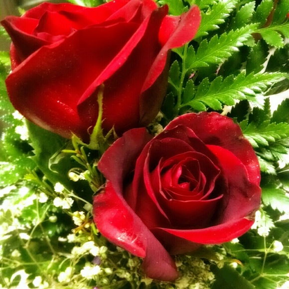 Meet your seller/buyer! - Picture 2 of 4