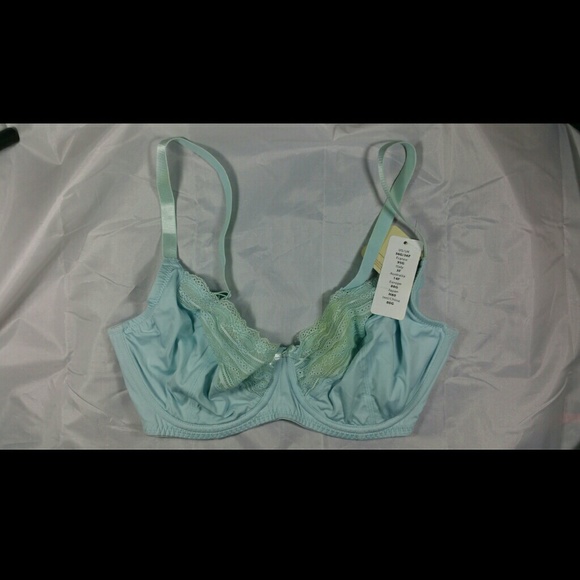 Parfait by Affinitas Kelly wire bra color Blue 36F