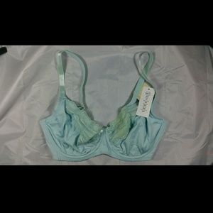 Parfait by Affinitas Kelly wire bra color Blue 36F