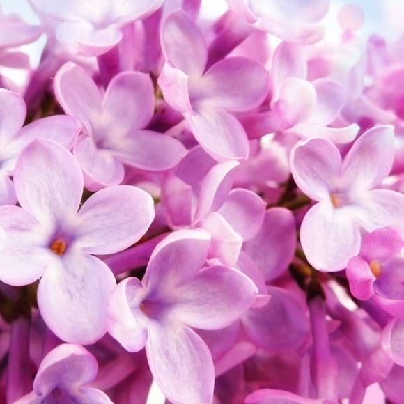 Bundle for @kskibisky