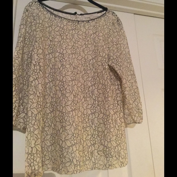 LOFT navy and cream lace top