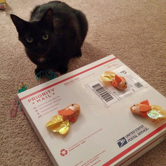 Mrs. Nesbitt loves to ship fast!