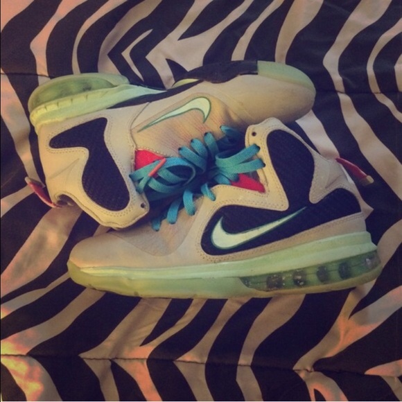 Lebron sneakers / south beach