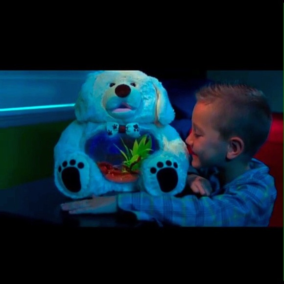 Teddy Tank (Dog) 🐶 - Picture 2 of 4