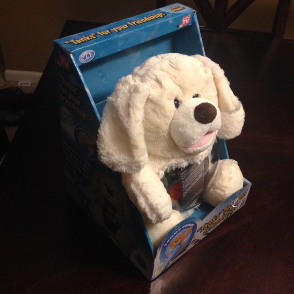 Teddy Tank (Dog) 🐶 - Picture 4 of 4