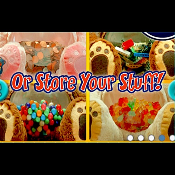 Teddy Tank (Dog) 🐶 - Picture 3 of 4