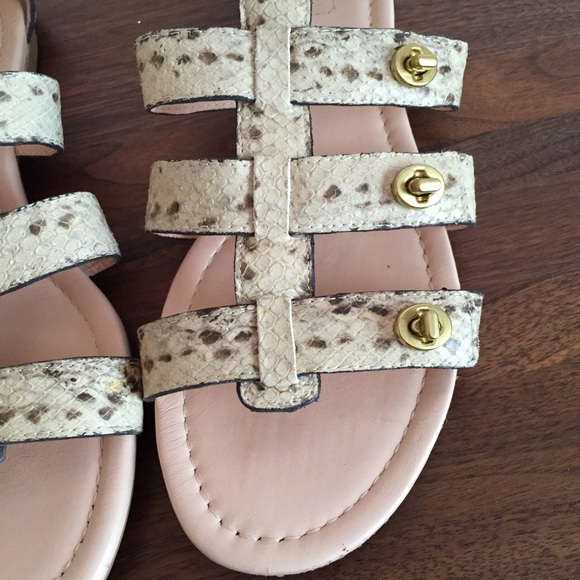 ❌SOLD❌Coach OLETA Python embossed gladiators - Picture 2 of 4