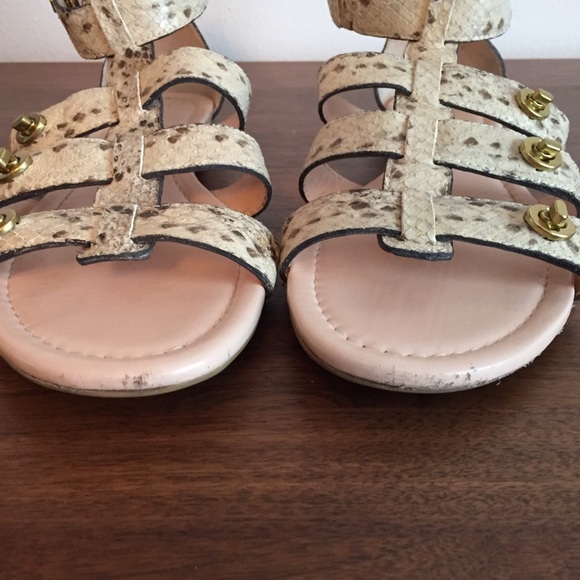 ❌SOLD❌Coach OLETA Python embossed gladiators - Picture 3 of 4