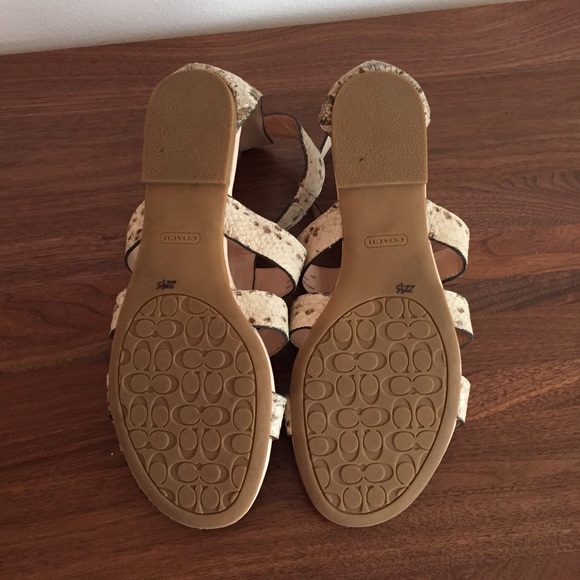 ❌SOLD❌Coach OLETA Python embossed gladiators - Picture 4 of 4