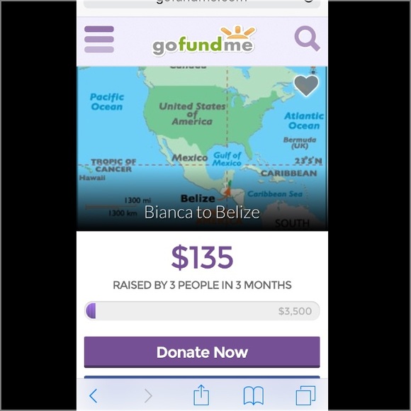Fundraiser, please share. - Picture 1 of 1