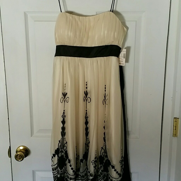 Dress barn Collection  Size 10