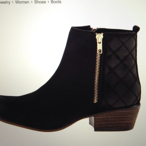 Steve Madden Boots - Steve Madden Women's Black Nyrvana Boot